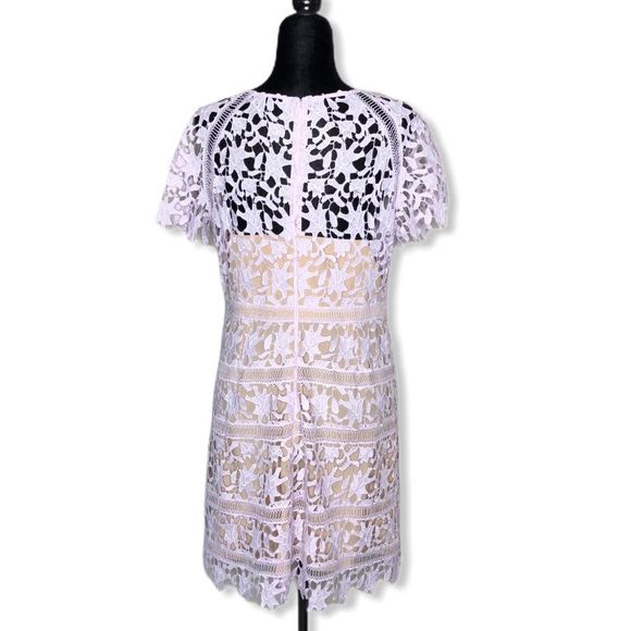 Eliza J Cap Sleeve Lilac Lace Overlay Sheath Dress NWT size 14P - Picture 4 of 8